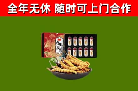 洪泽烟酒回收冬虫夏草礼盒.jpg